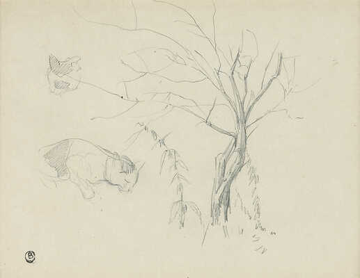 Серов Валентин Александрович. Наброски кошки и растений 